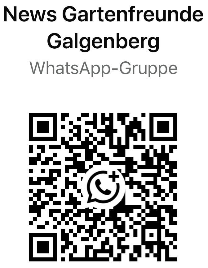 QR-Code WhatsApp
